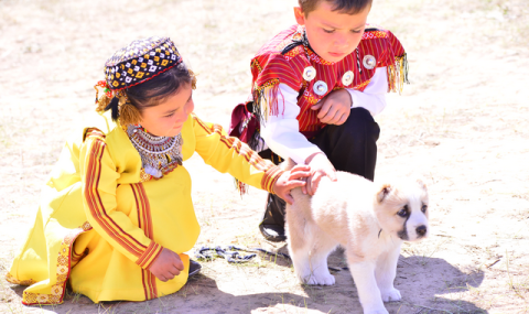 https://www.vestiabad.ru/news/7760/v-turkmenistane-otkrylas-vystavka-v-chest-prazdnika-alabaya