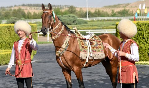 https://www.vestiabad.ru/news/4152/statyu-posla-turkmenistana-ob-ahaltekinskih-skakunah-opublikovali-v-al-sharq
