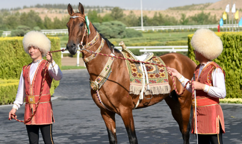 https://www.vestiabad.ru/news/6421/turkmenskie-skakuny-v-centre-vnimaniya-kitaiskih-turistov