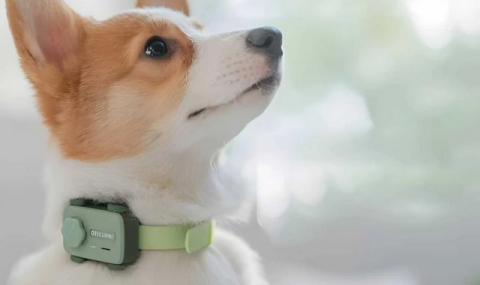 https://www.vestiabad.ru/news/10316/vypushchen-pervyi-v-mire-smartfon-prednaznachennyi-dlya-domashnih-zhivotnyh