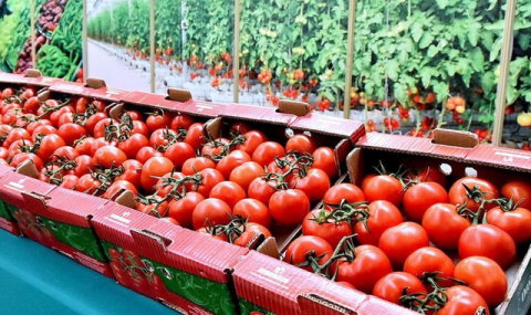 https://www.vestiabad.ru/news/9037/v-turkmenistane-procvetaet-tomatnyi-biznes