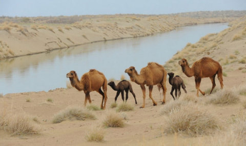 https://www.vestiabad.ru/news/9866/v-turkmenistane-startoval-process-sozdaniya-pervogo-geoparka-yunesko