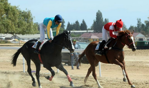 https://www.vestiabad.ru/news/11211/nacionalnyi-lider-turkmenskogo-naroda-posetil-konnyi-kompleks-v-gorode-cholponata