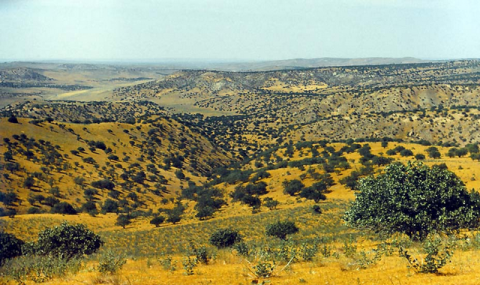 https://www.vestiabad.ru/news/6333/nauchnye-ekspedicii-ocenili-sostoyanie-orehoplodnyh-na-territorii-turkmenistana