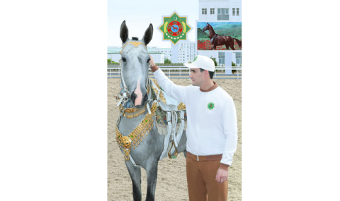 https://www.vestiabad.ru/news/11276/glava-turkmenistana-prinyal-uchastie-v-meropriyatiyah-po-sluchayu-prazdnika-turkmenskogo-skakuna