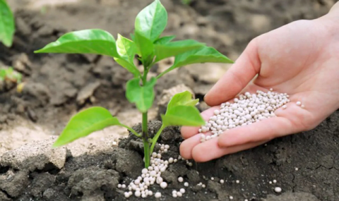 https://www.vestiabad.ru/news/10533/v-turkmenistane-obespechivayut-agrariev-mineralnymi-udobreniyami