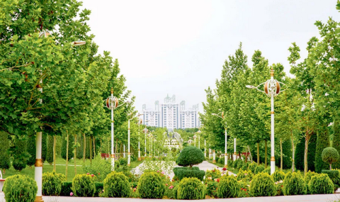 https://www.vestiabad.ru/news/8854/v-turkmenistane-aktivno-vedutsya-raboty-po-zelenoi-transformacii