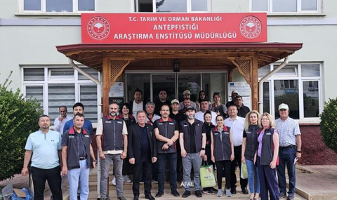 https://www.vestiabad.ru/news/5337/v-turkmenistane-budut-vyrashchivat-tureckie-fistashkovye-sady