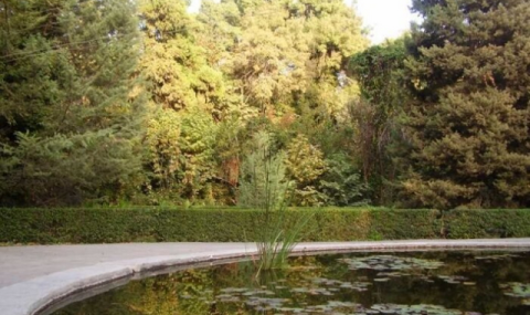 https://www.vestiabad.ru/news/9274/botanicheskomu-sadu-ashhabada-ispolnilos-95-let