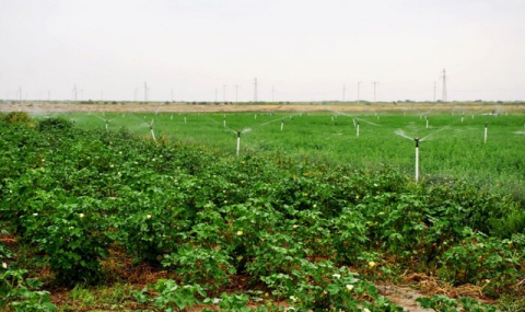 https://www.vestiabad.ru/news/9277/prirodopolzovanie-v-turkmenistane-vyhodit-na-novyi-uroven