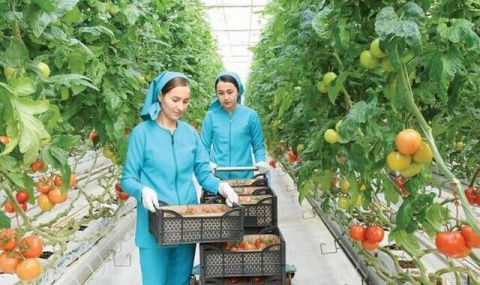 https://www.vestiabad.ru/news/9561/produkciya-altyn-gala-gurlushyk-shiroko-vostrebovana-na-vneshnih-rynkah